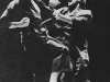 mullins-wren_-2